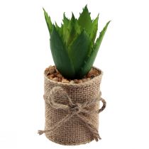 Product Artificial plants decorative succulents artificial 9.5-12.5cm 3pcs