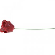 Product Artificial roses Bordeaux wax roses decorative roses wax Ø6cm 18 pcs