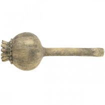 Product Artificial stone decoration poppy antique decoration brown Ø13cm L37.5cm