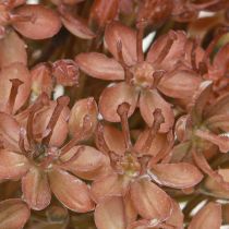 Product Artificial branch autumn decoration flower branch brown red 45cm 2 pieces