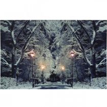LED picture winter landscape park with lanterns LED mural 58x38cm