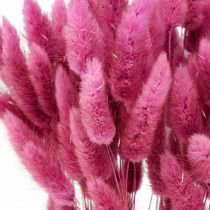 Product Lagurus Dried Rabbit Tail Grass Purple 65-70cm 100g