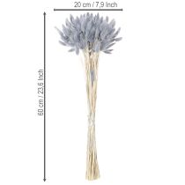 Product Dried Lagurus (Hare's Tail Grass) Grey for Dried Flower Bouquets 60cm 75g