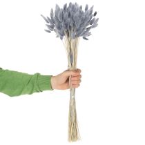 Product Dried Lagurus (Hare's Tail Grass) Grey for Dried Flower Bouquets 60cm 75g