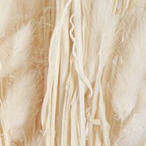 Product Dried Flowers Lagurus ovatus Hare's Tail Cream 55-70cm 100g