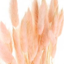 Decorative grass pink, Lagurus, natural decoration, dry floristry L45–50cm 30p