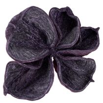 Product Landlotus Mix Lotus pods Sterculia Blackberry Old Pink 50pcs