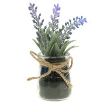 Product Lavender in a jar H15cm