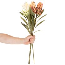Product Artificial Protea Leucadendron flower with long stem, 65cm, 3 pieces