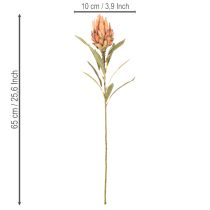 Product Artificial Protea Leucadendron flower with long stem, 65cm, 3 pieces