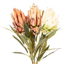 Product Artificial Protea Leucadendron flower with long stem, 65cm, 3 pieces