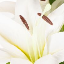 Product Artificial lilies, 6 white blossoms, realistic flowering branch, 66cm