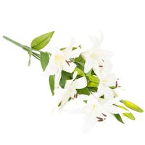 Product Artificial lilies, 6 white blossoms, realistic flowering branch, 66cm