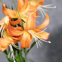 Product Artificial lilies, decoration for weddings and events, 77cm, 4 pieces