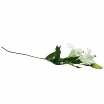 Product Easter Lily White 86cm
