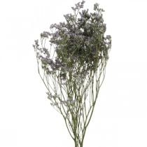 Dry Flowers, Sea Lavender, Statice Tatarica, Sea Lavender, Limonium Violet L45–50cm 30g