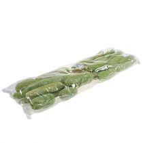 Product Luffa large on a stick green 25 pcs