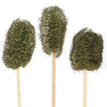 Product Luffa small on a stick sponge cucumber dark green 5-7cm 25 pcs