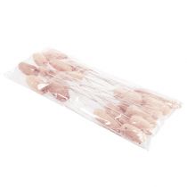 Product Luffa large on a stick bleached 25 pcs