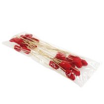 Product Luffa large on a stick red 25 pcs