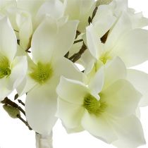 Product Magnolia Bunch White 40cm 5 pcs