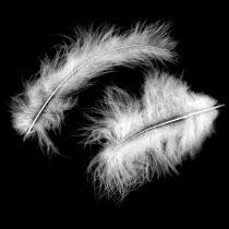 Decorative feathers, marabou feathers, Easter decoration, feathers for handicrafts White 45g