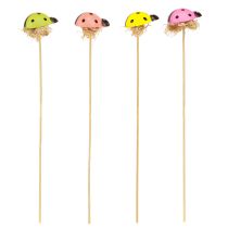 Product Colourful Ladybugs Decoration Wooden Flower and Pot Stakes 3.5cm 24 pcs