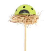 Product Ladybug Decoration Flower Plugs Wood Colored 3.5cm 24 Pcs