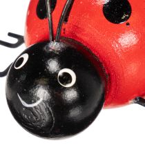Product Wooden ladybugs/lucky bugs as cute decorations for the home, 5cm, 6 pieces