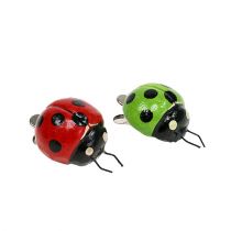 Ladybug with clip red, green 3.5cm 6pcs