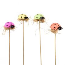 Product Ladybug decorative flower plugs wood 2.5x3.5x2cm 32pcs