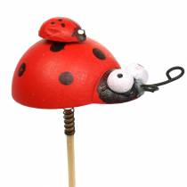 Product Decorative plug ladybird on stick wood red, black 4cm x 2.5cm H23.5cm 16 pcs