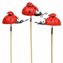 Deco plugs ladybug on stick wood red, black 4cm x 2.5cm H23.5cm 16 pieces