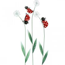 Decorative plug ladybug, spring decoration, dandelion with beetle, metal plug L55cm set of 3