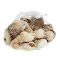 Maritime deco shell mix nature 400g