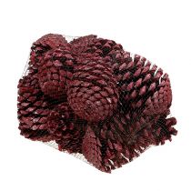Product Maritima cones 10-15cm red frosted 12 pcs