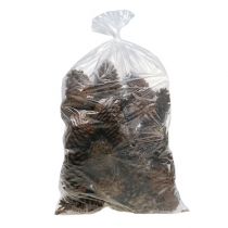 Product Maritima cones 14/18 natural 25 pcs