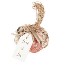 Product Maritime decorative shells mix in a net, colorful, 3.5-6 cm, 300 g × 3 pieces