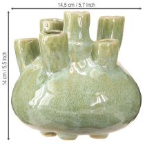 Product Maritime Decoration Vase Coral Design Light Green Ø14.5cm H14cm