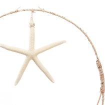 Product Maritime wall decoration with real starfish Ø26.5cm H65cm