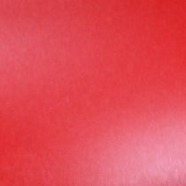 Product Marking spray in red chalk paint spray Montana 400ml