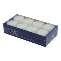 Tealights maxi with transp. Cover white 54mm 16pcs