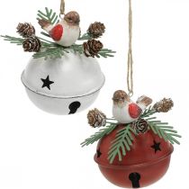 Bells with robins, bird decorations, winter, decorative bells for Christmas white / red Ø9cm H10cm set of 2