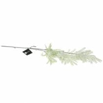 Product Decorative branch mimosa green frost effect 63cm