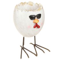 Product Mini Planter Egg Chicken with Sunglasses and Feet H12.5cm 2 pcs