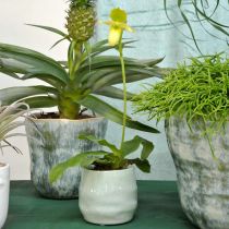 Mini cachepot, ceramic vessel, decorative lantern, plant pot wave pattern Ø8cm 6pcs