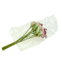 Product Mini Calla artificial 28cm Erika, Cream 12 pcs