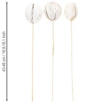 Product Mintolla Ball on Stick Mix whitewashed 6 pcs