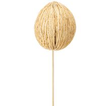 Product Mintolla ball bleached 8cm - 10cm L46cm 6 pcs