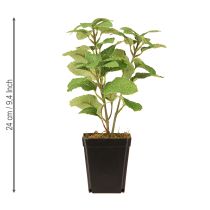 Product Mint in a pot, artificial herbs, green plant, H24cm